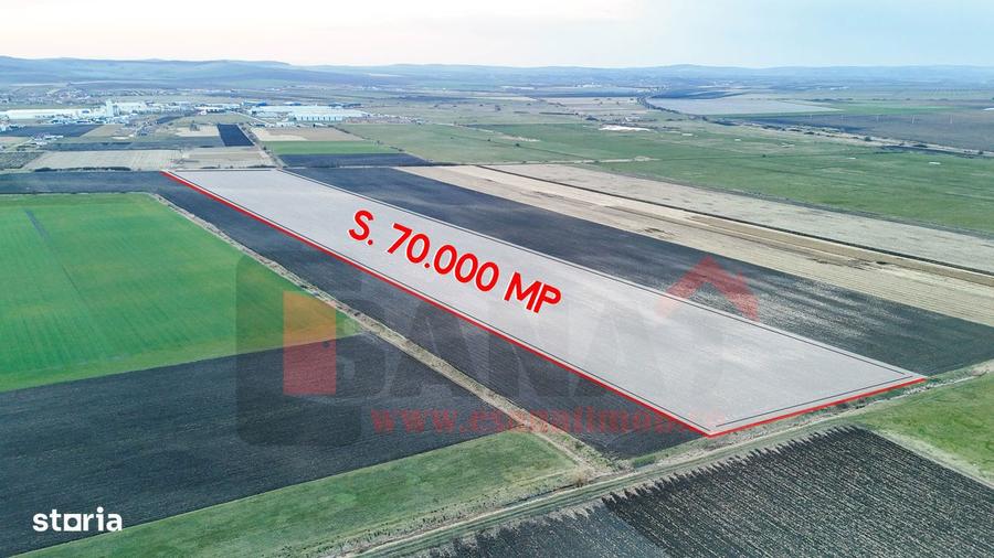 Teren de 70000 mp, în Șura Mică