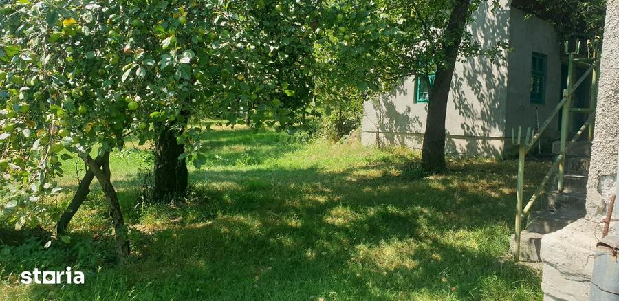 Casă cu 2 camere cu Teren 3000 Mp în Zdrapți
