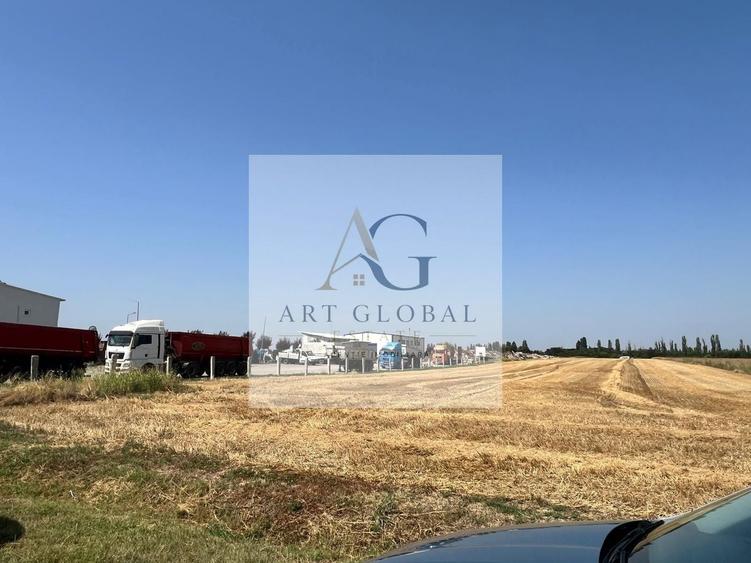 Teren Construcții intravilan de 65600 mp, în Căciulați