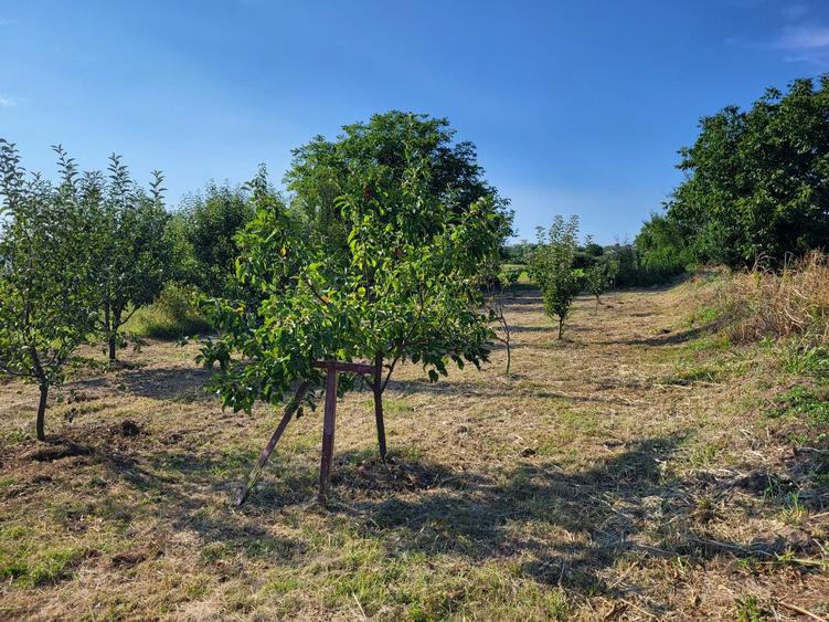Casă cu 3 camere în Izvor