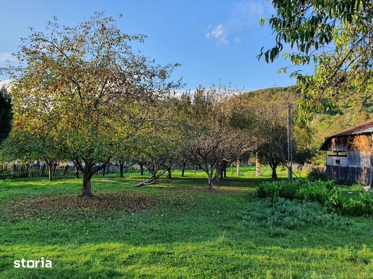 Teren de 20000 mp, în Valea