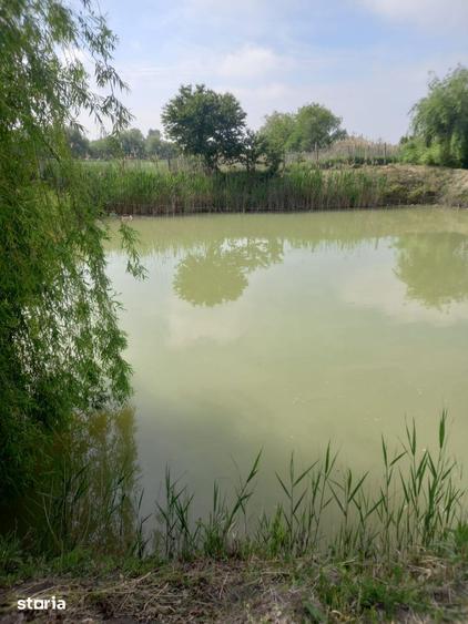Casa baraneasca + 9300mp teren (livada) zona sat Ziduri jud. Buzau - 8