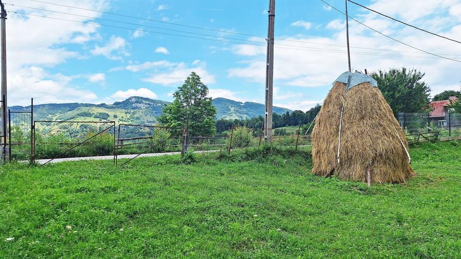 Teren Construcții intravilan de 1000 mp, în Peștera