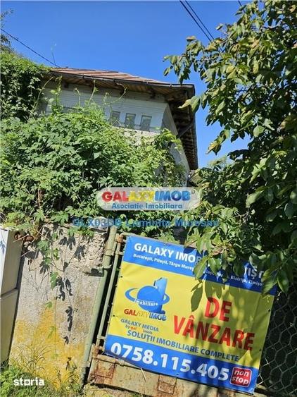 Vanzare casa batraneasca S + P teren Valea Voievozilor - 19