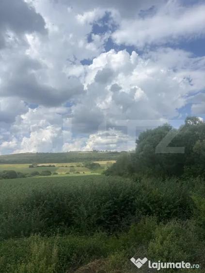 Teren în Zăuan
