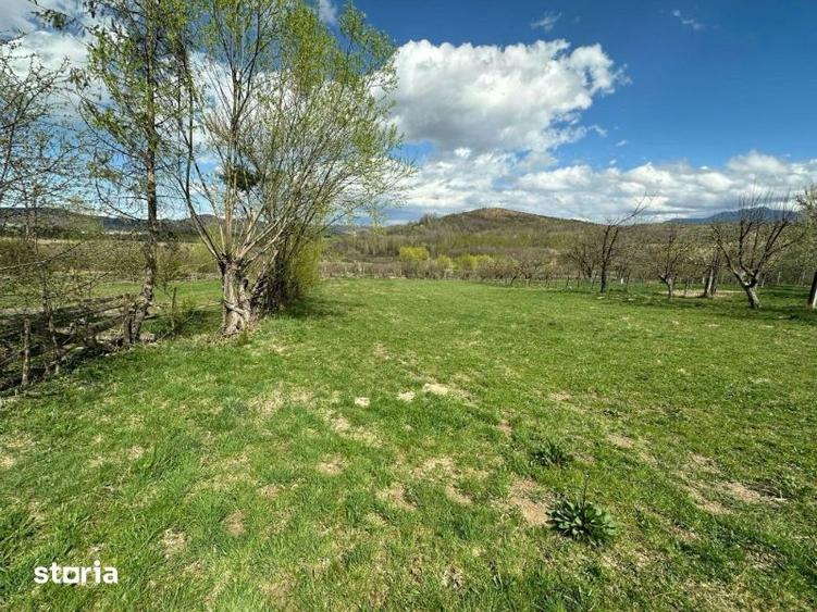 Teren de 4000 mp, în Central