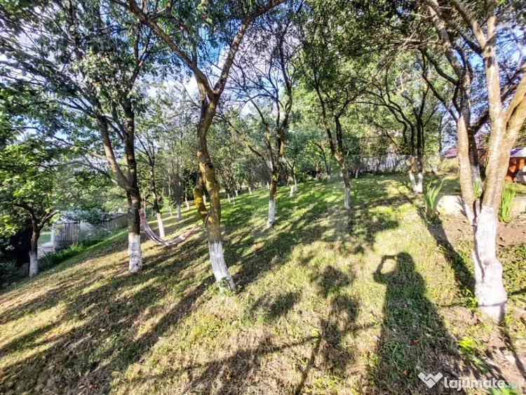 Casă cu 3 camere cu Teren 1903 Mp în Vechea