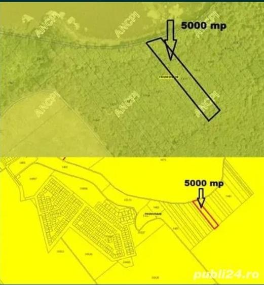 Teren de 5000 mp, în Frumușani