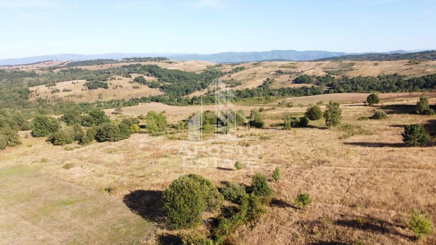 Teren agricol extravilan de 50000 mp, în Izvoarele