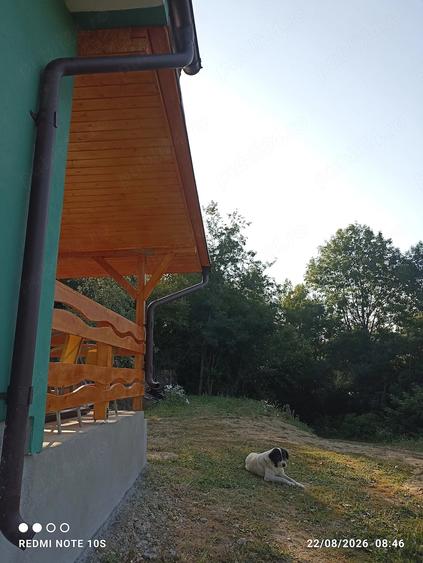 Casă cu 2 camere cu Teren 11710 Mp în Blăjeni