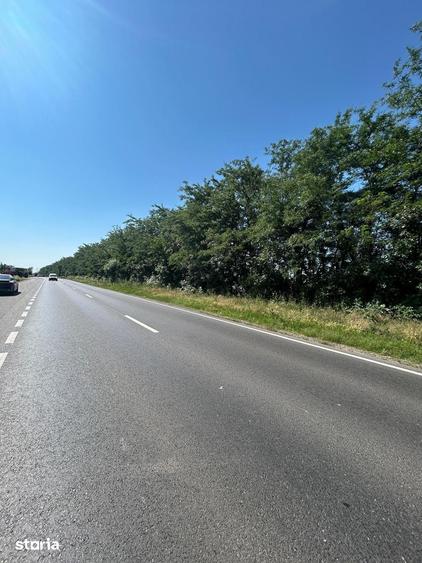 Teren de 11000 mp, în Frumușani