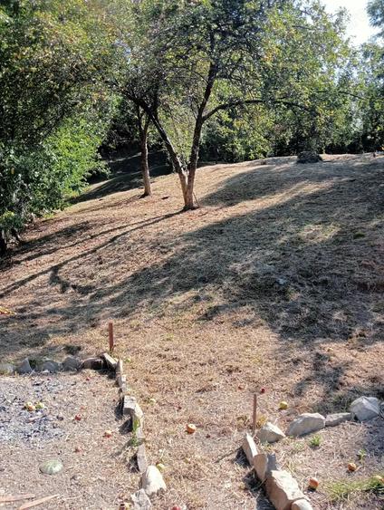 Casă cu 5 camere în Vatra Satului
