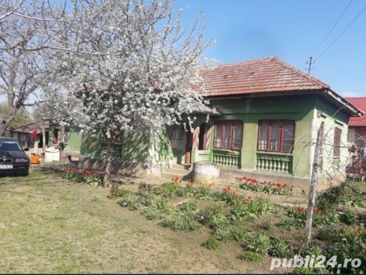 Casă cu 4 camere cu Teren 1600 Mp în Goicea