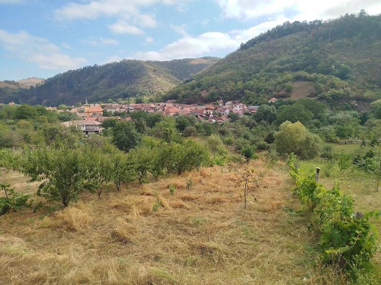 Teren de 20 mp, în Laz (Săsciori)
