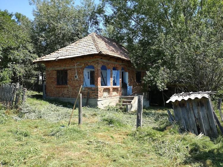 vand teren cu casa, in zona pitoreasca fara poluare fonica - 9