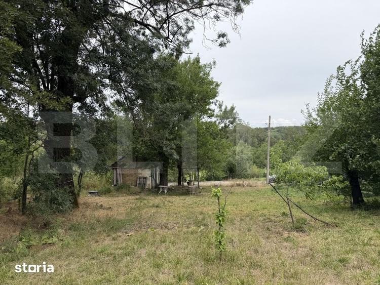 Teren de 7030 mp, în 1 Mai