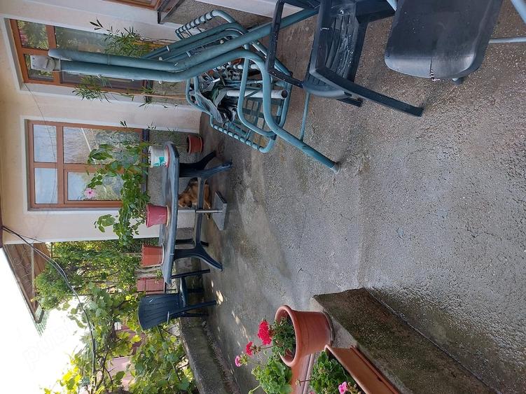 Casă cu 4 camere cu Teren 2484 Mp în Sânmartin