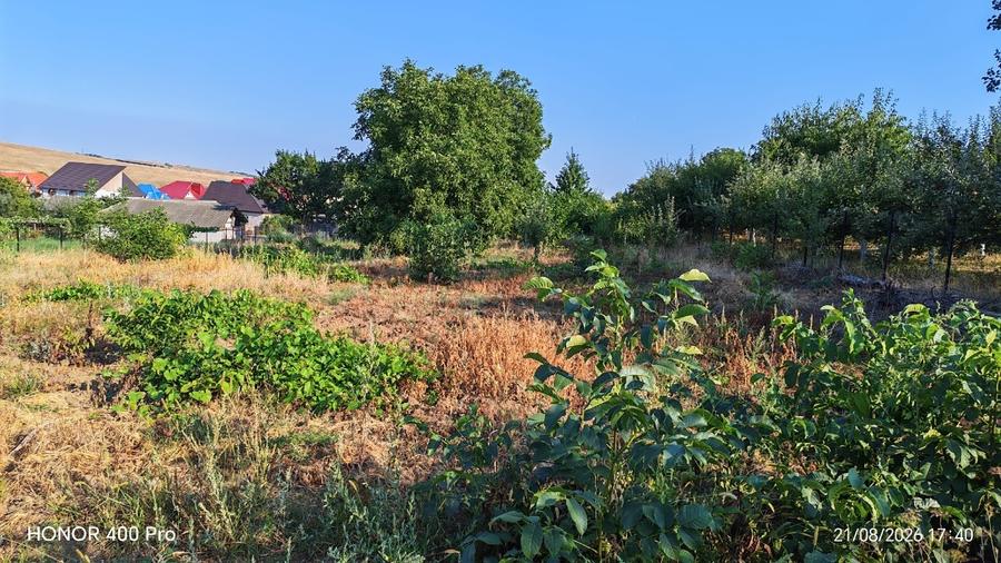 Teren agricol intravilan de 2100 mp, în Nord-Est
