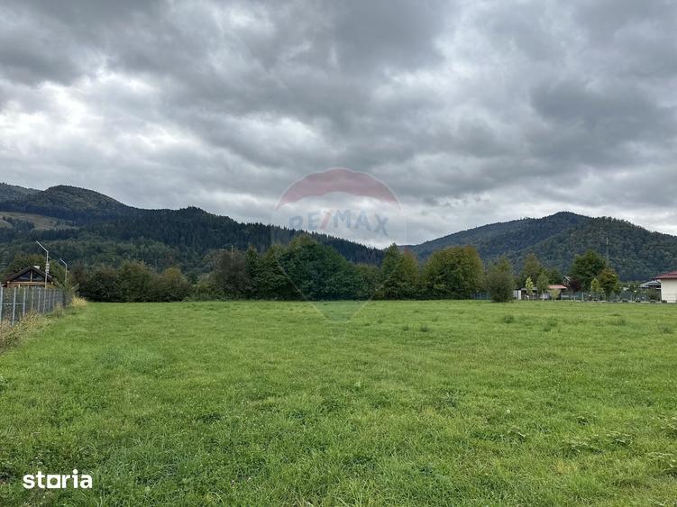 Teren de 1023 mp, în Alexandru cel Bun