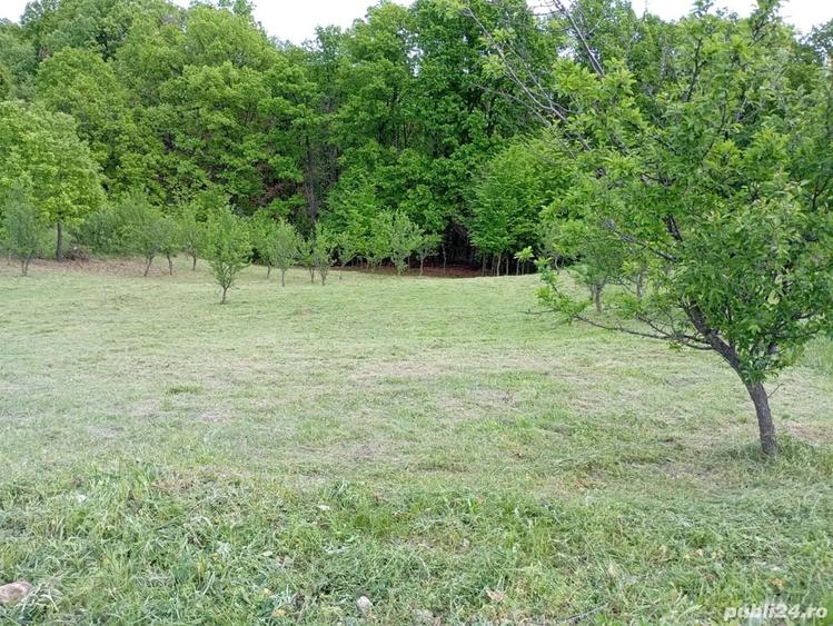 Teren de 1371 mp, în Cotmenița