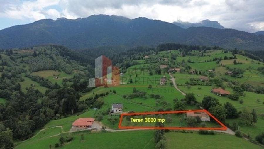 Teren Construcții intravilan de 3000 mp, în Bran