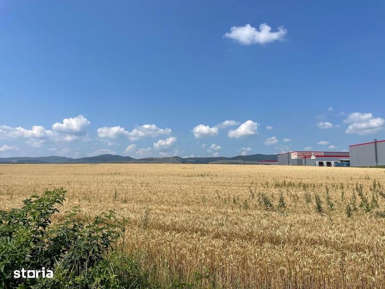 Terern pentru investitie in Bacau potrivit pentru proiect imobiliar - 8