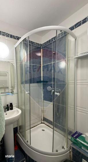 Inchiriere apartament 1 camera Vasile Aron | Complet mobilat | Balco - 3