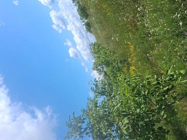 Teren de 70 mp, în Zvoriștea