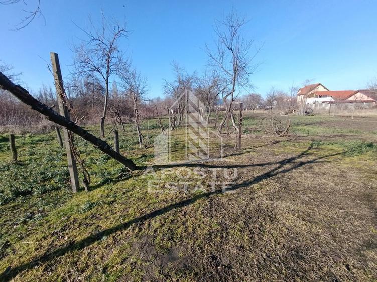 Casa individuala cu teren generos 2158mp, front 12m, liva... - 6