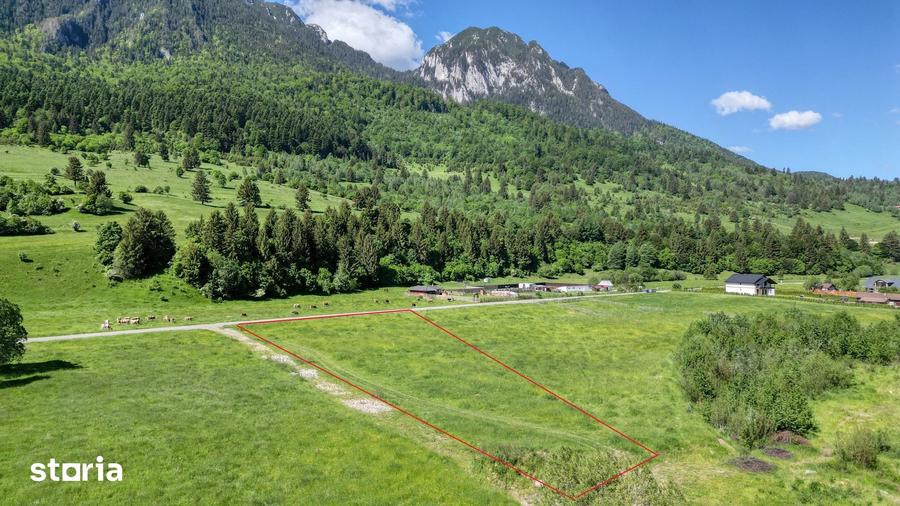 Teren de 1269 mp, în Plaiul Foii