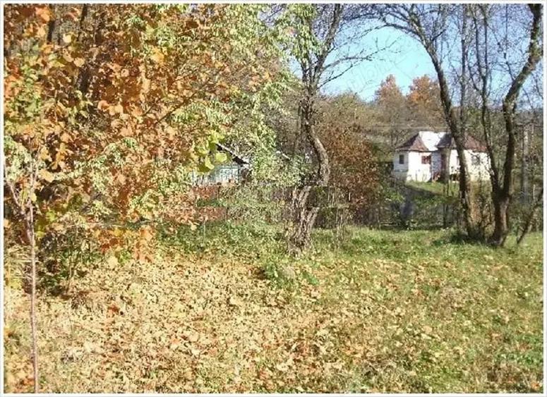 Teren de 1000 mp, în Drăgăneasa