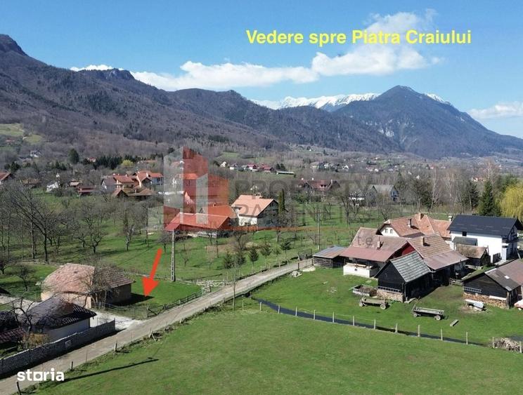 Spațiu comercial, în Predeluț