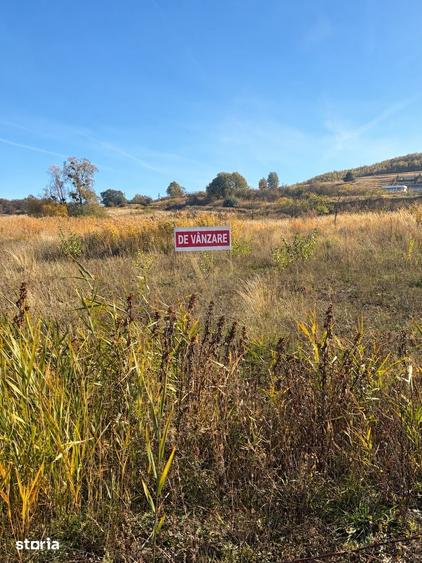 Teren de 2900 mp, în Borhanci