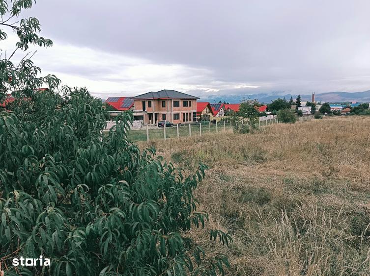 Teren de 2850 mp, în Zăvoi