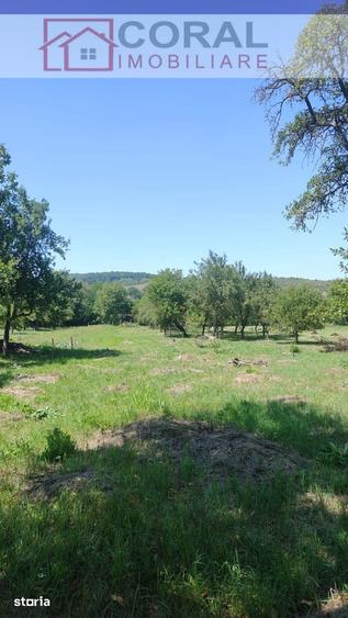 Teren de 2900 mp, în Hărău