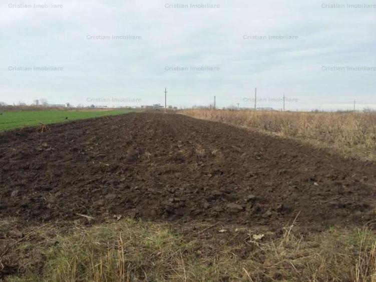 Teren intravilan de 3000 mp, în Chiscani
