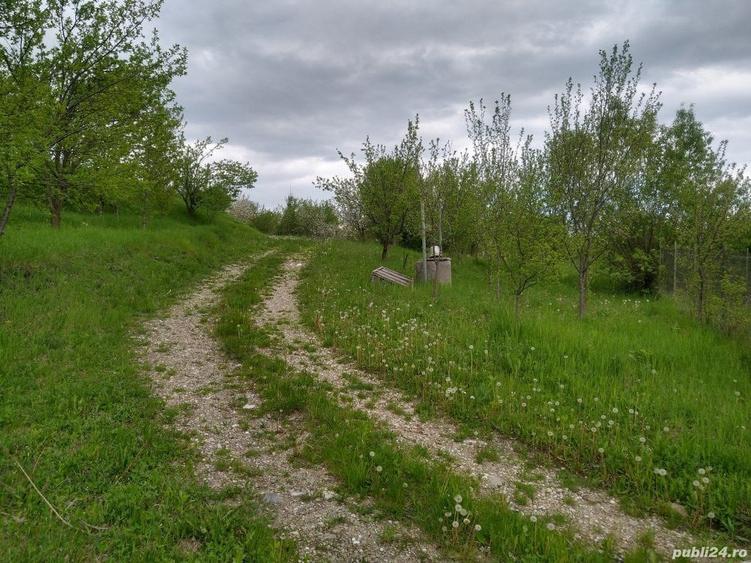 Conac boieresc si teren de vanzare, Drajna de Sus, jud. Prahova - 10