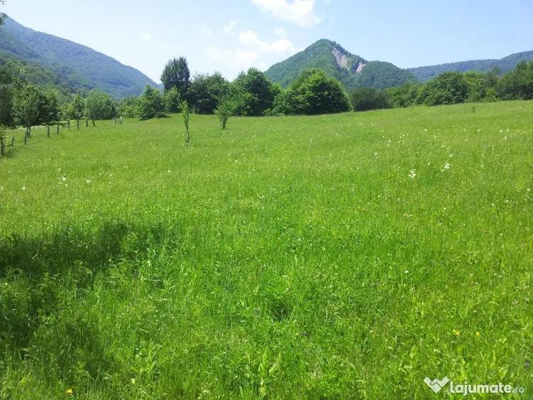 Teren de 73000 mp, în Siriu