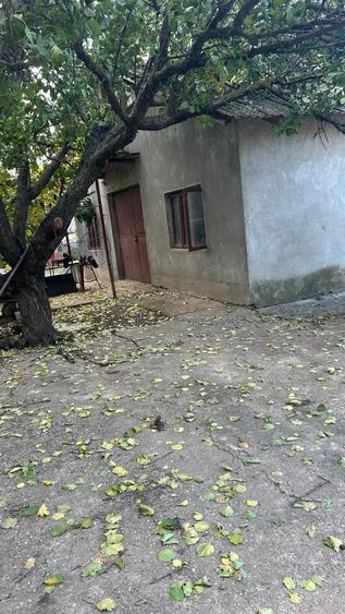 Teren de 5000 mp, în Central