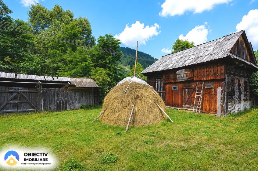 Casă individuală cu 3 camere cu Teren 3302 Mp în Bicazu Ardelean