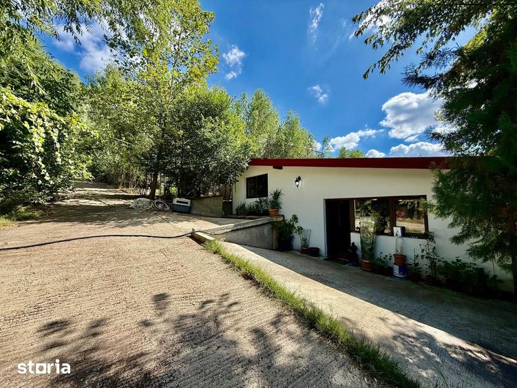 Casă cu 3 camere cu Teren 300 Mp în Rediu