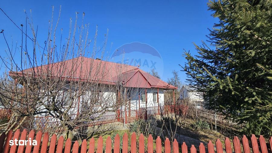 Casă cu 3 camere cu Teren 4900 Mp în Central