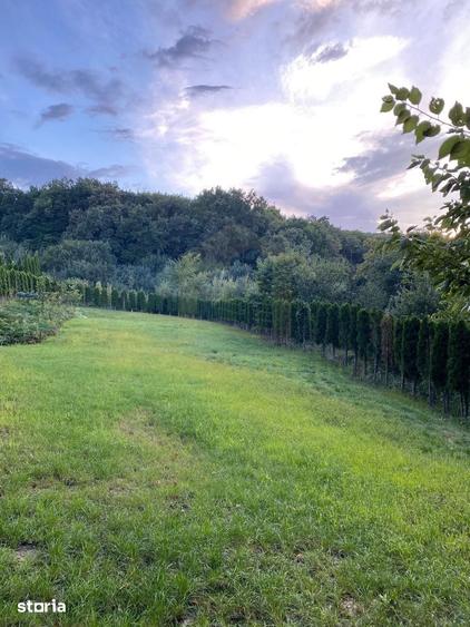 Vanzare teren 3000 mp, cabana, zona D D Rosca, Faget - 8