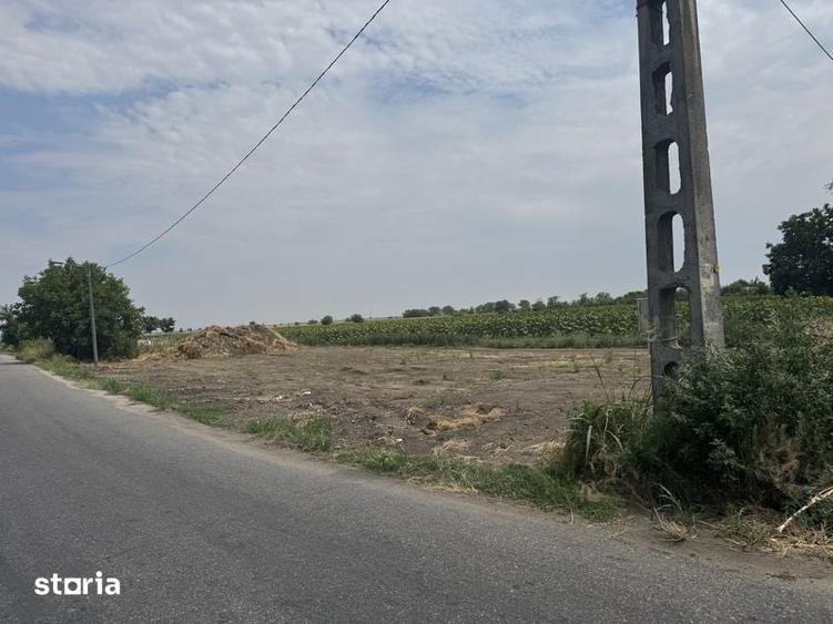 Teren intravilan in Corabia cu deschidere la doua strazi - 4
