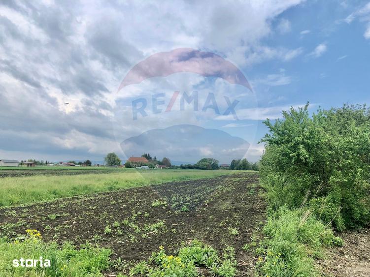 Teren de 3250 mp, în Stupini