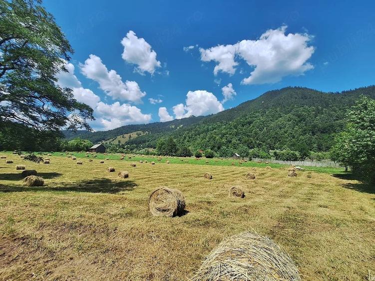 Teren de 18200 mp, în Tulgheș