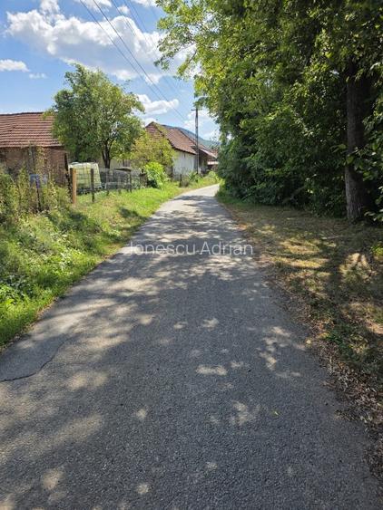 De vanzare teren intravilan 4.903 mp,sat Lunca 12 km Brad | Asfalt + autorizație