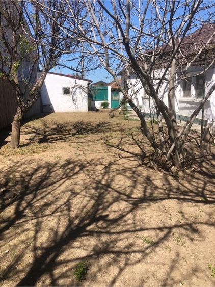 Casa 4 camere , teren 420 mp , Medeea - 5