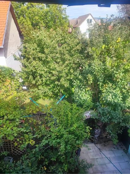 Casă cu 2 camere cu Teren 645 Mp în Aurel Vlaicu