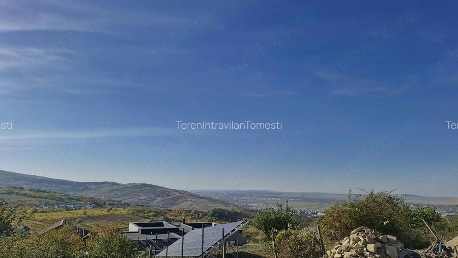 Teren Intravilan Tomesti Deal